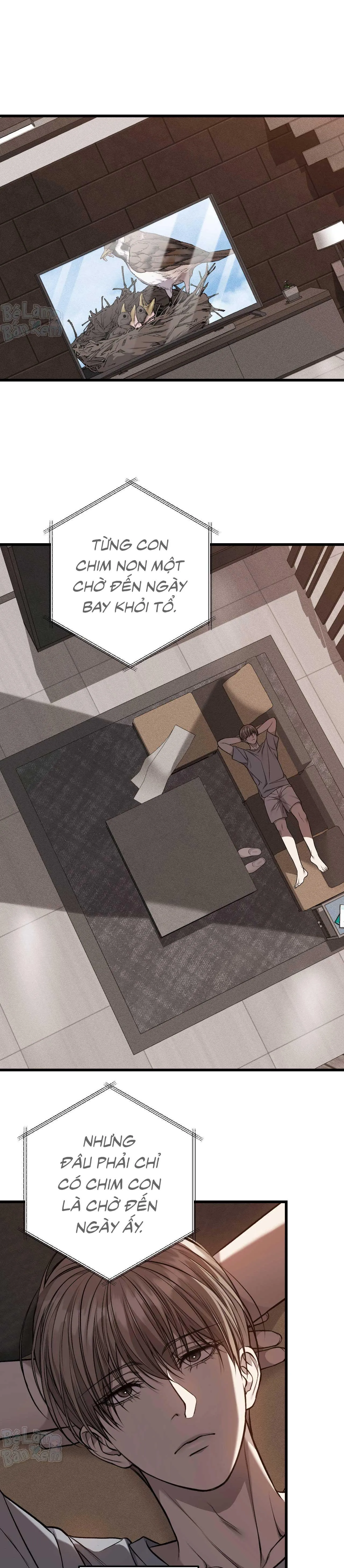 XX ĐÊ TIỆN Chapter 61 Trang 12