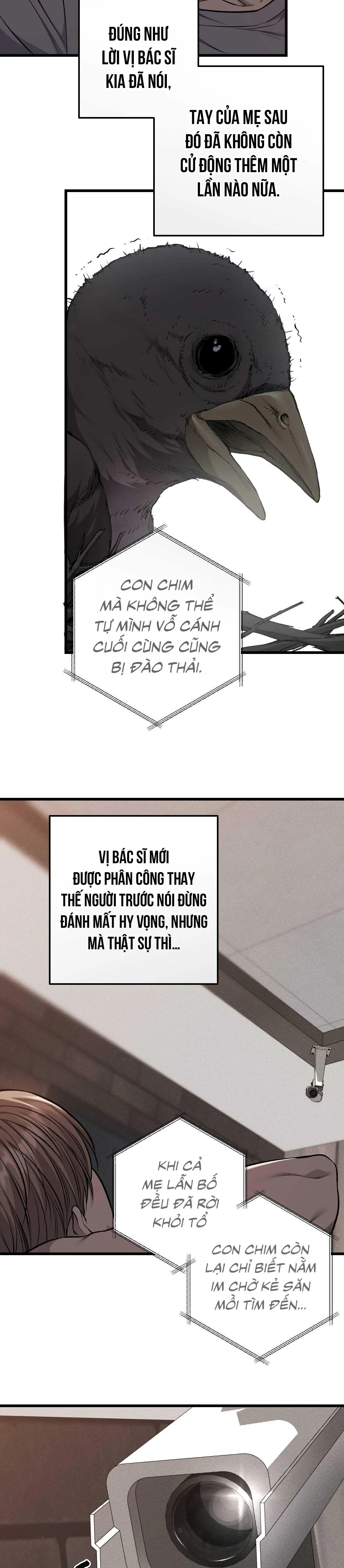 XX ĐÊ TIỆN Chapter 61 Trang 13