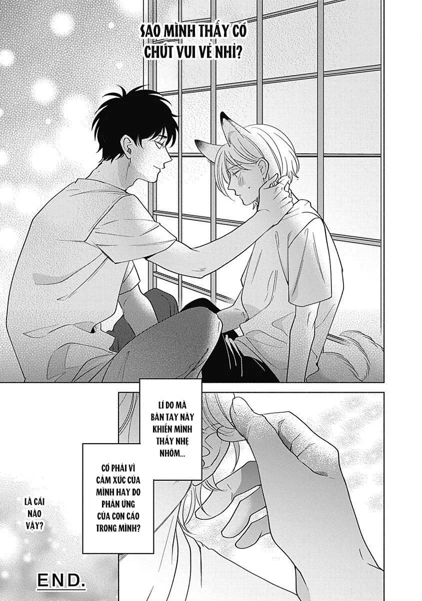 Yakimochi wa Kitsuneiroo Chapter 2 Trang 32