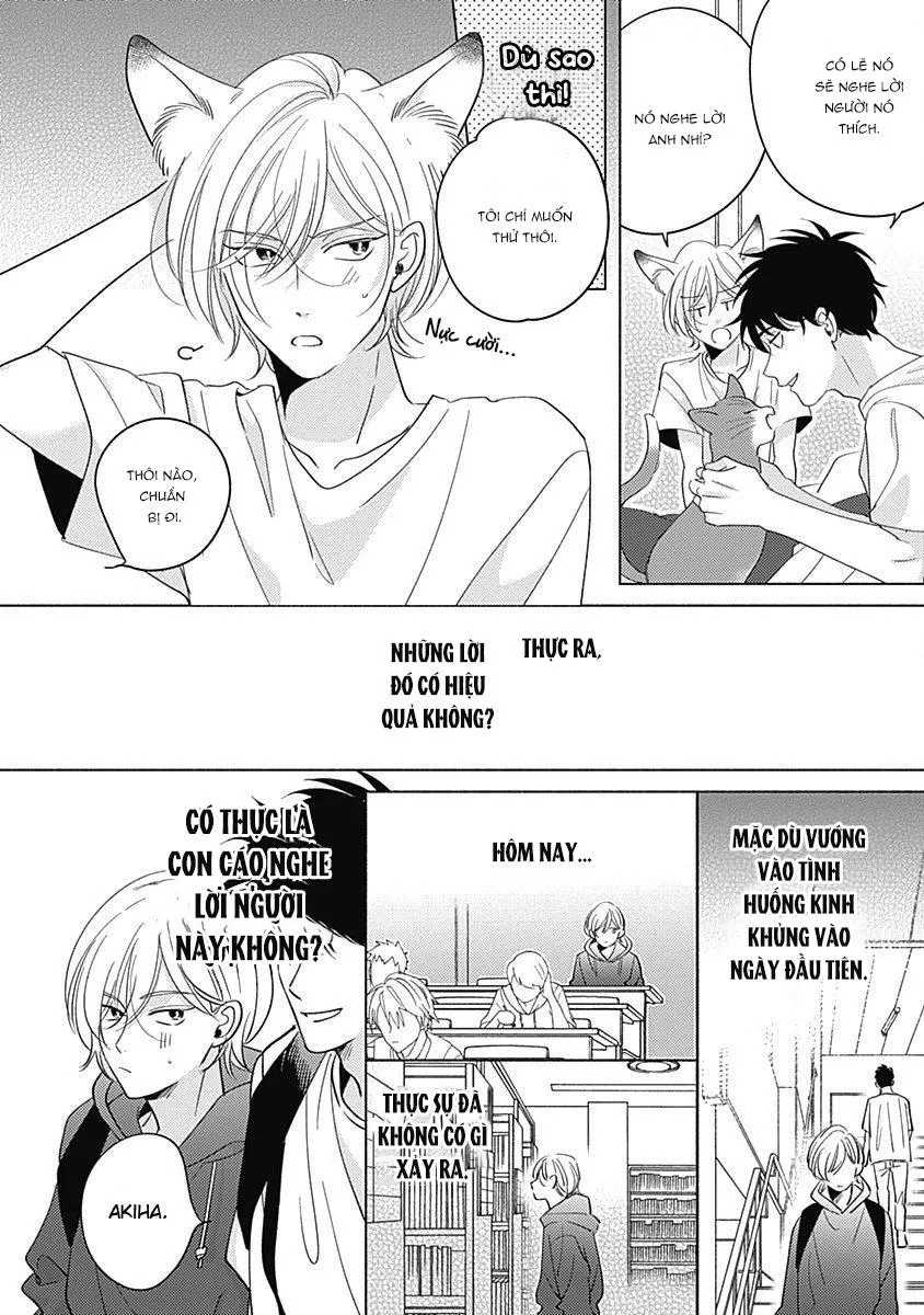 Yakimochi wa Kitsuneiroo Chapter 3 Trang 8