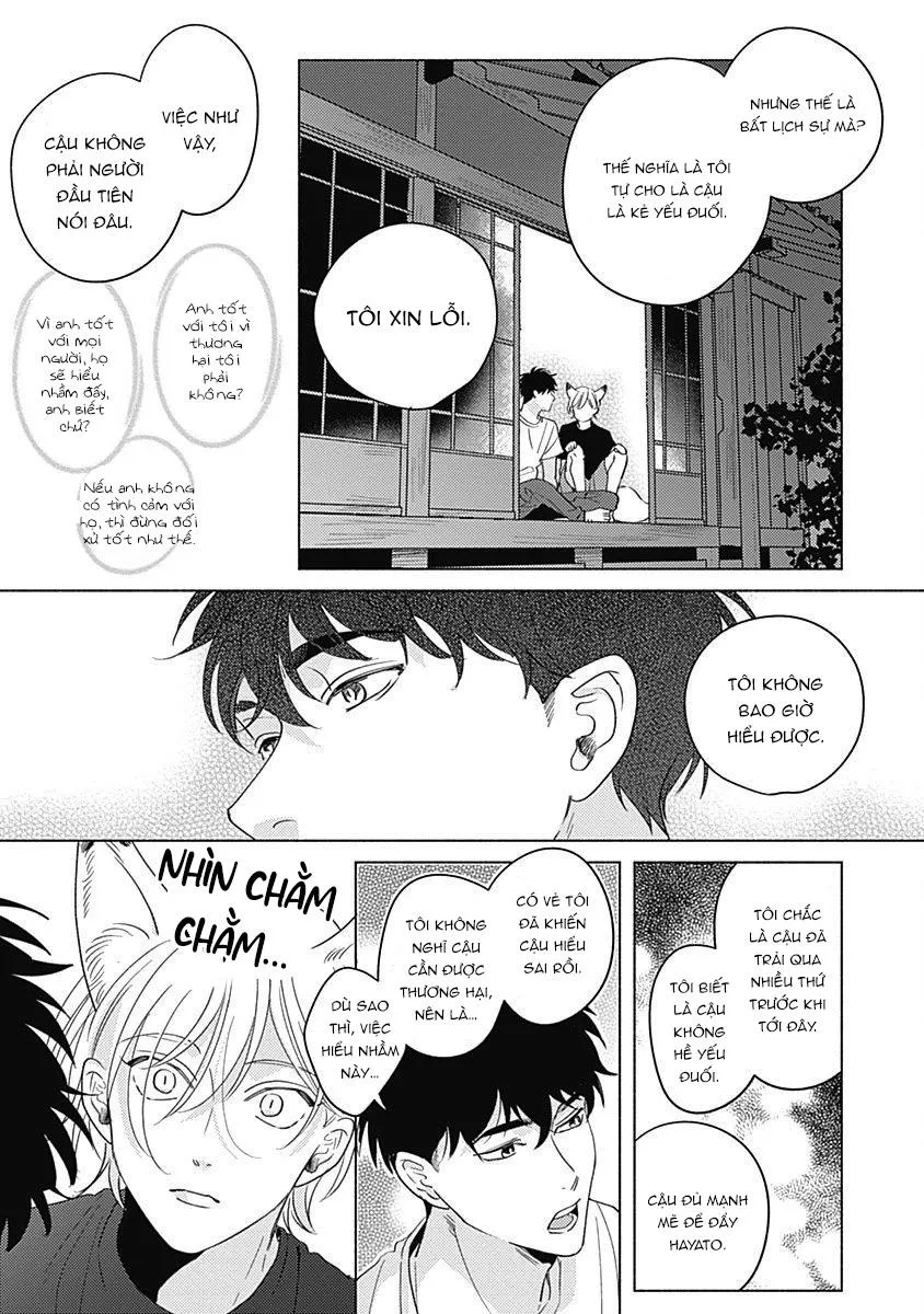 Yakimochi wa Kitsuneiroo Chapter 5 Trang 18