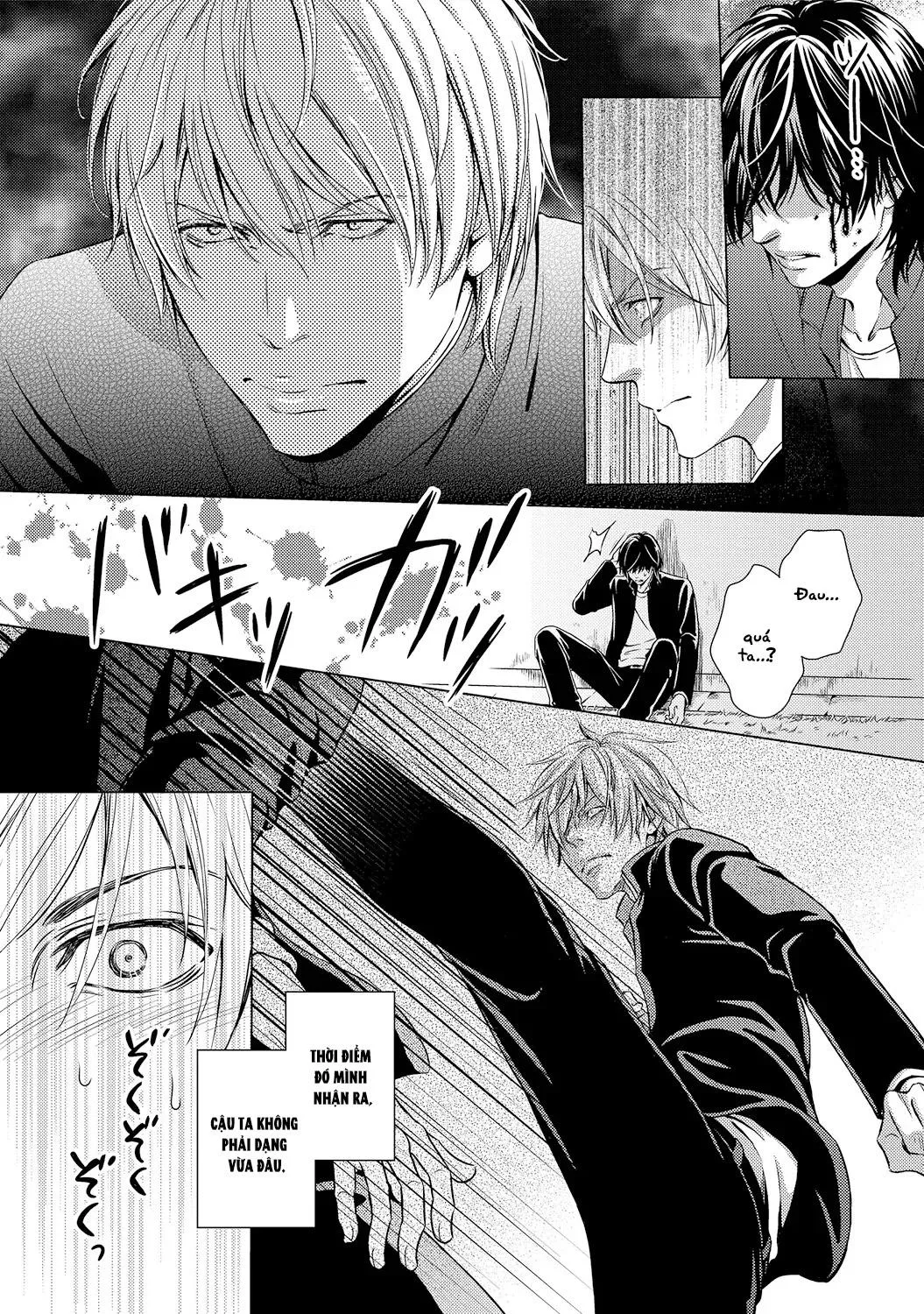 Yakuza Porn Chapter 1 Trang 14