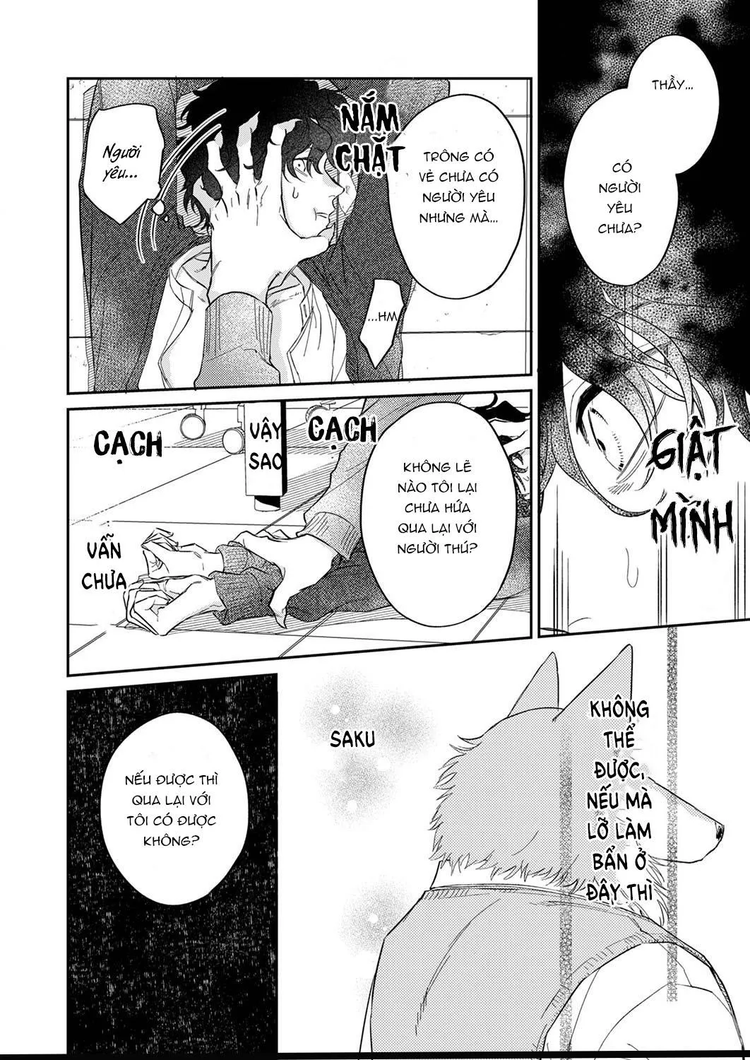 YÊU ĐƯƠNG CÙNG CHÀNG SÓI Chapter 6 Trang 13