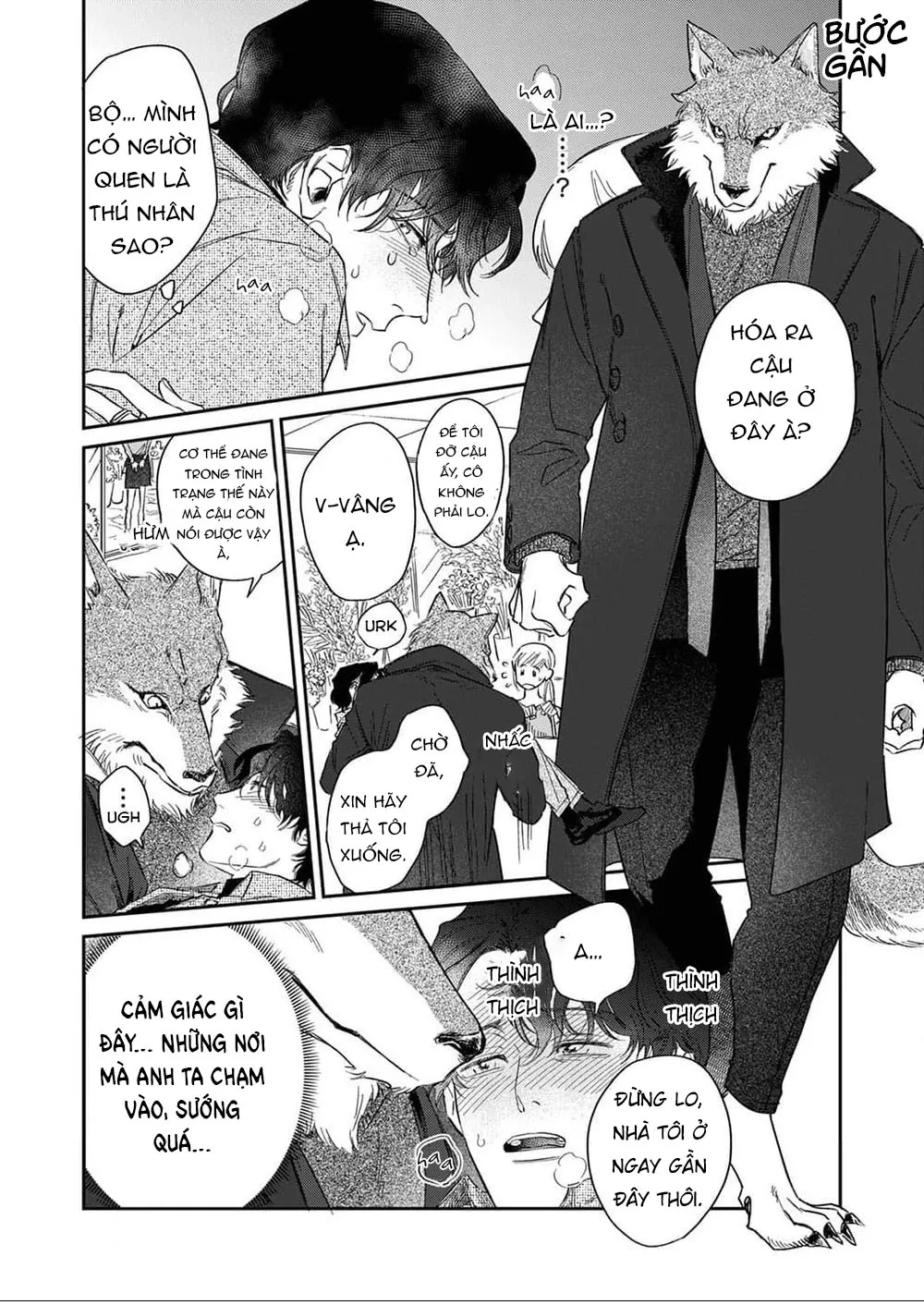 YÊU ĐƯƠNG CÙNG CHÀNG SÓI Chapter 1 Trang 16