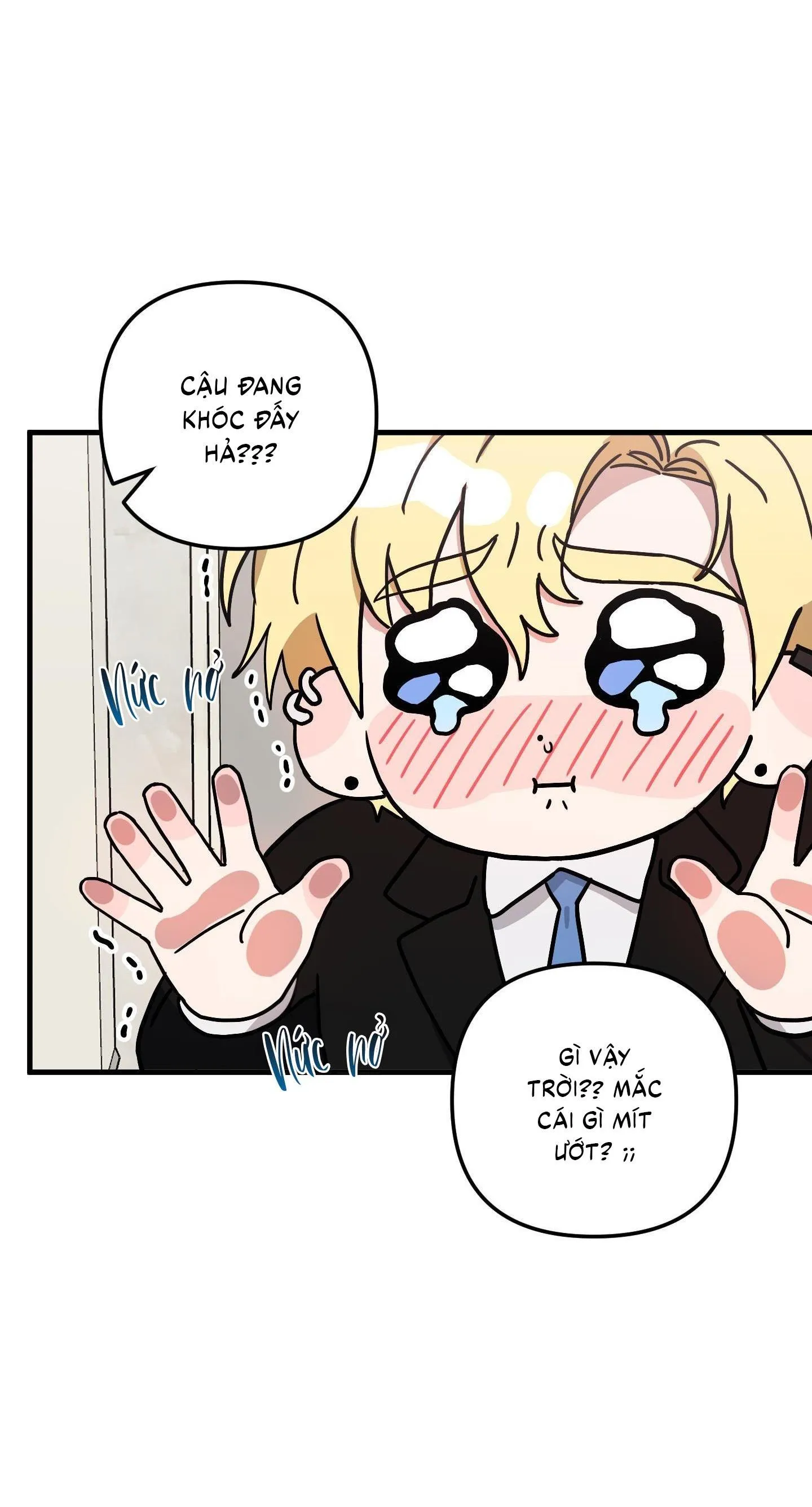 Yêu Phải Lừa Đảo Chapter 10 Trang 11