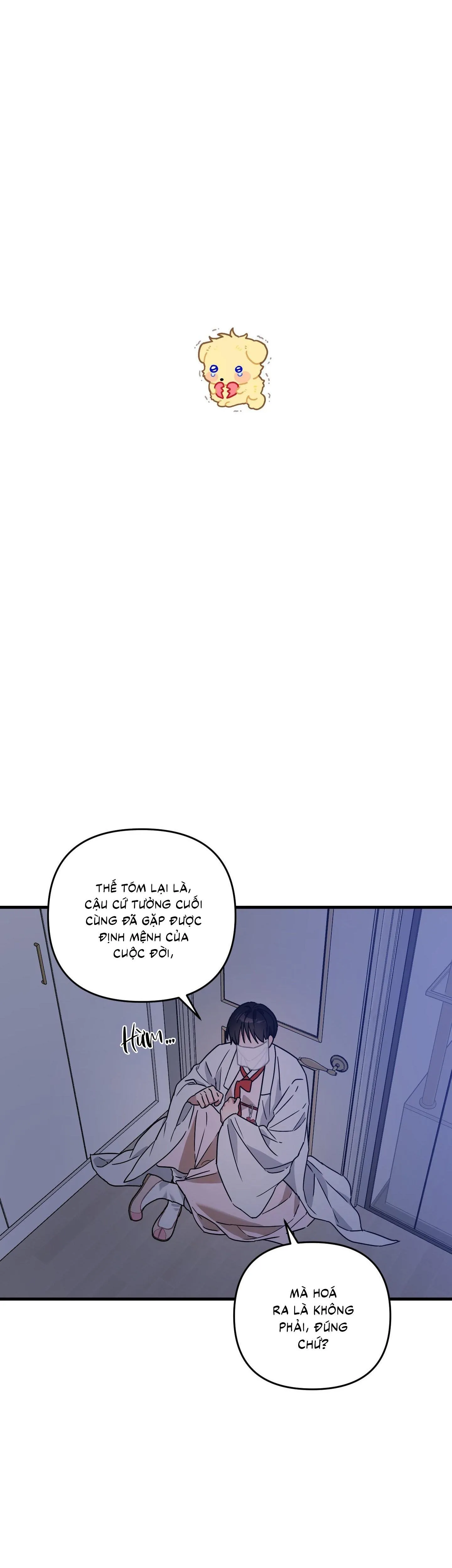 Yêu Phải Lừa Đảo Chapter 10 Trang 13