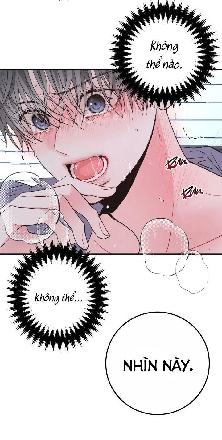 YÊU THÊM LẦN NỮA (LOVE ME AGAIN) Chapter 4 Trang 64