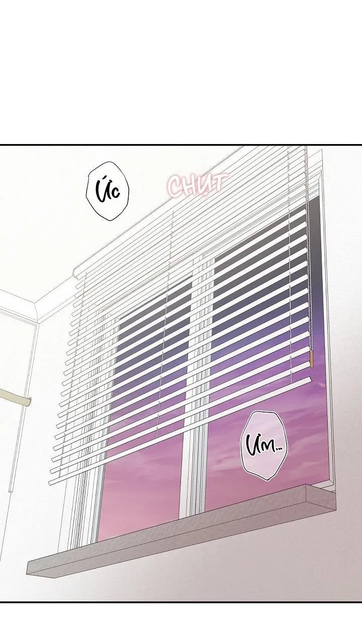 Khu vực chủ nghĩa tình yêu Chapter 71 Trang 34