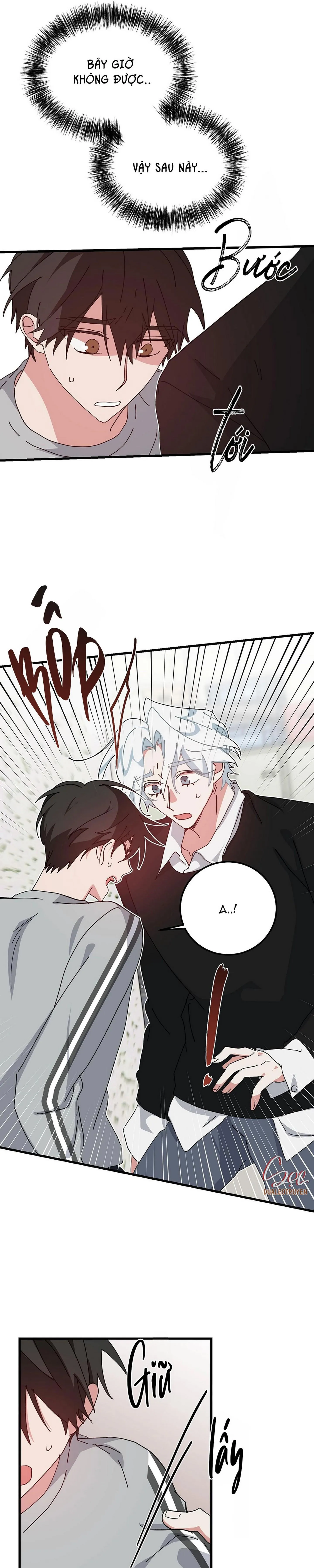 YÊU TÔI ĐI, THẦN HỘ MỆNH Chapter 47 Trang 14