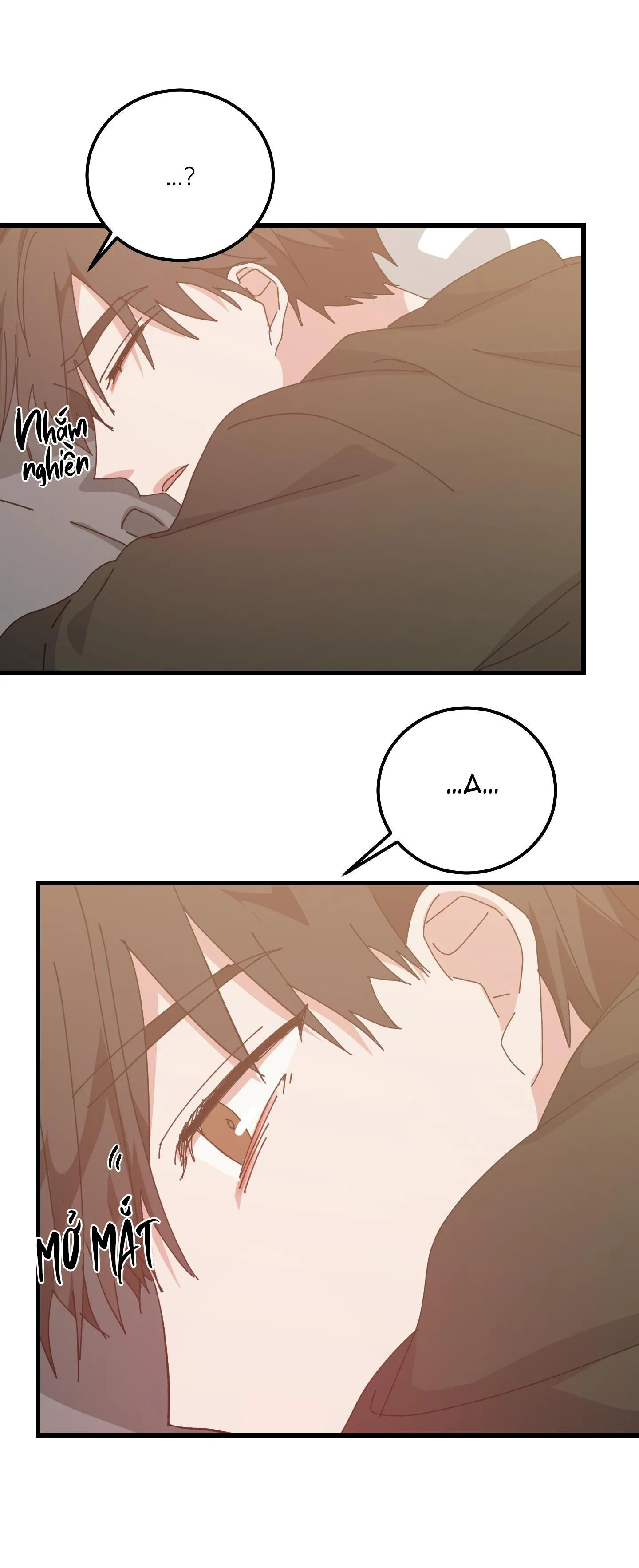 YÊU TÔI ĐI, THẦN HỘ MỆNH Chapter 50 Trang 4