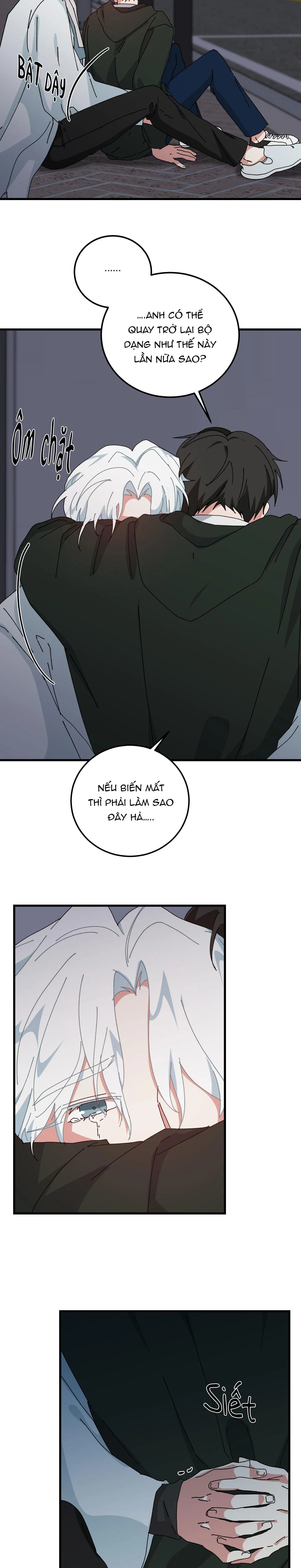 YÊU TÔI ĐI, THẦN HỘ MỆNH Chapter 56 Trang 3