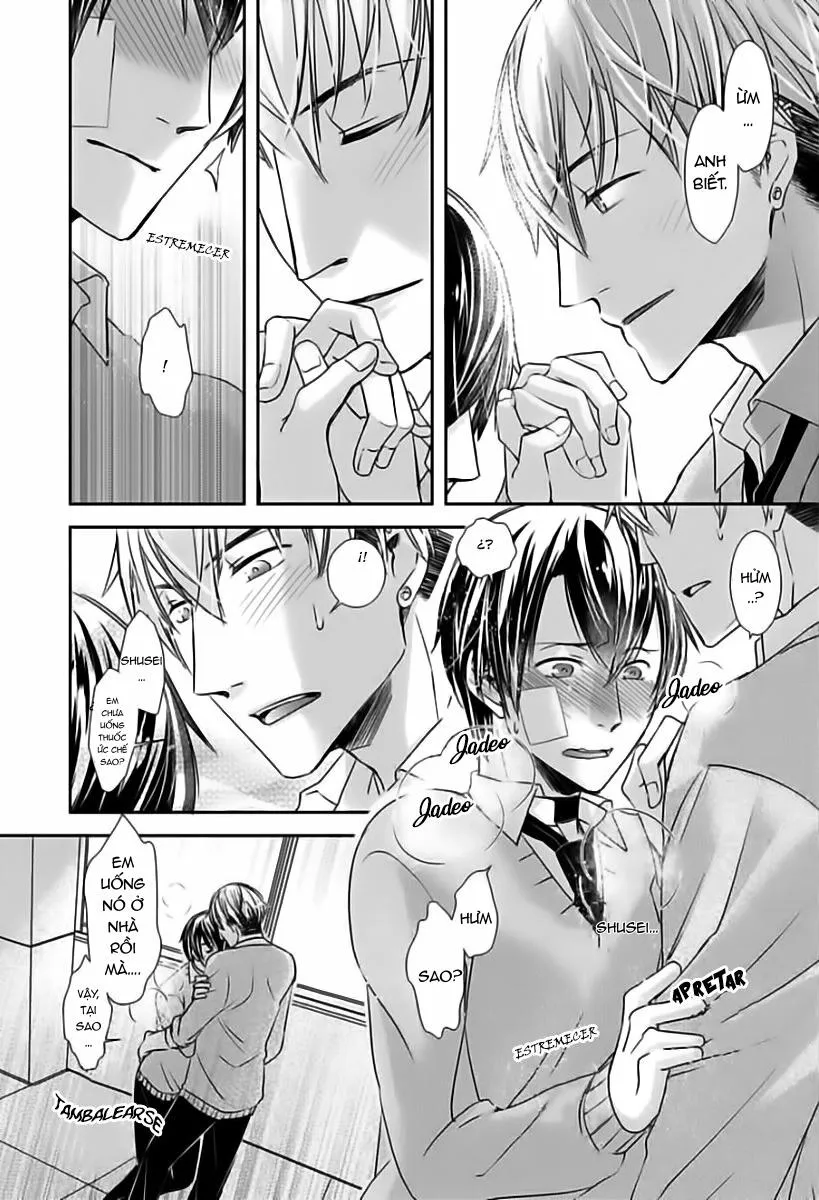 Tất Cả Vì Tôi Là Omega Chapter 4 Trang 16