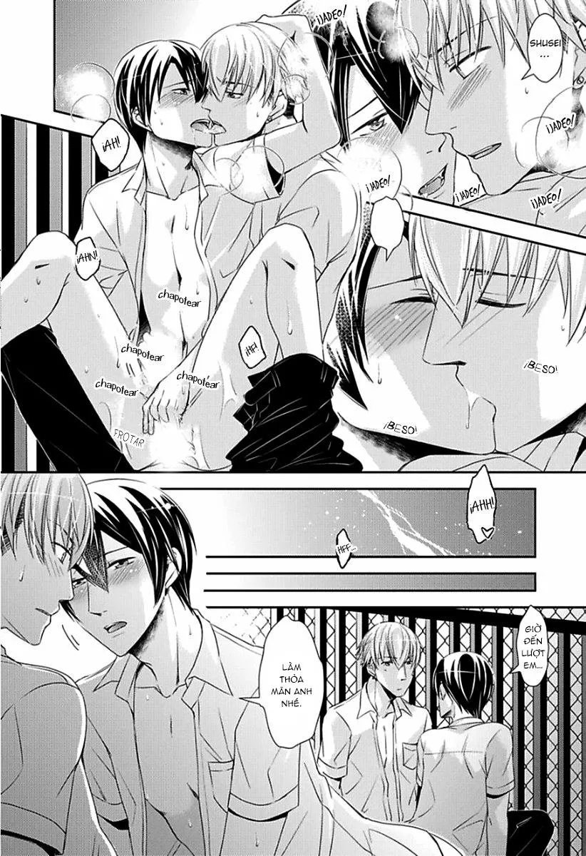 Tất Cả Vì Tôi Là Omega Chapter 8 Trang 11