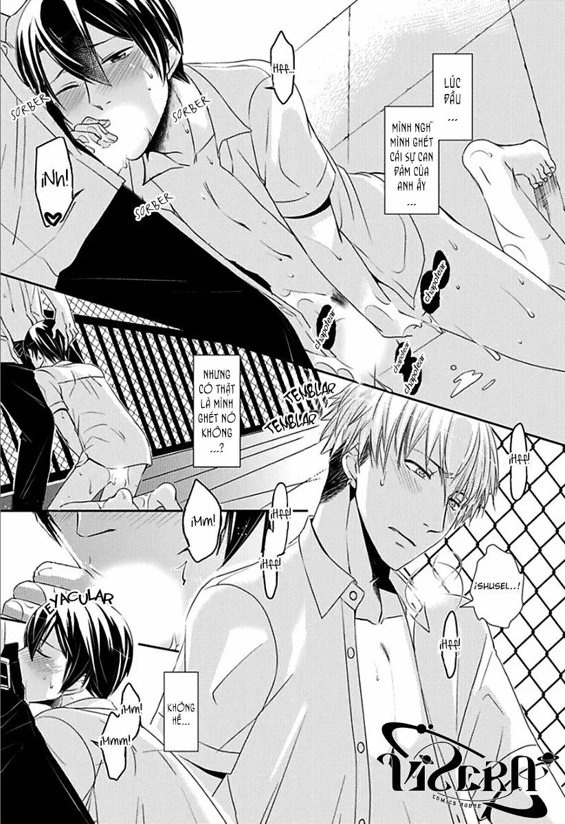 Tất Cả Vì Tôi Là Omega Chapter 8 Trang 14