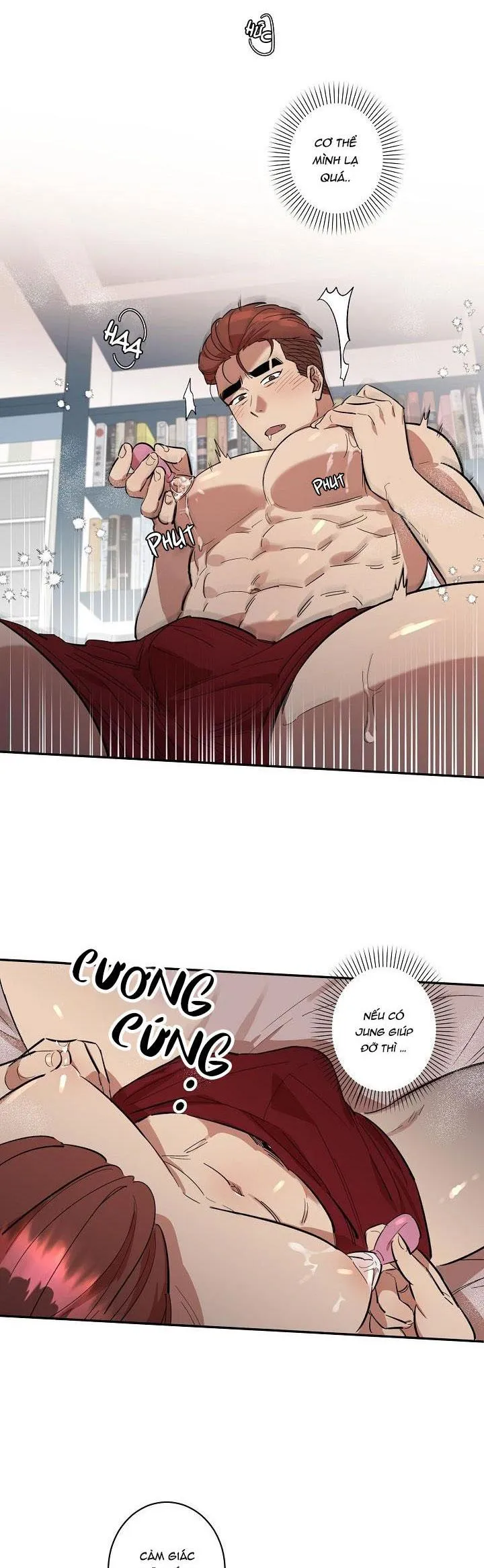 BỘ NGỰC GÂY PHIỀN TOÁI CHO OTAKU Chapter 4 Trang 9