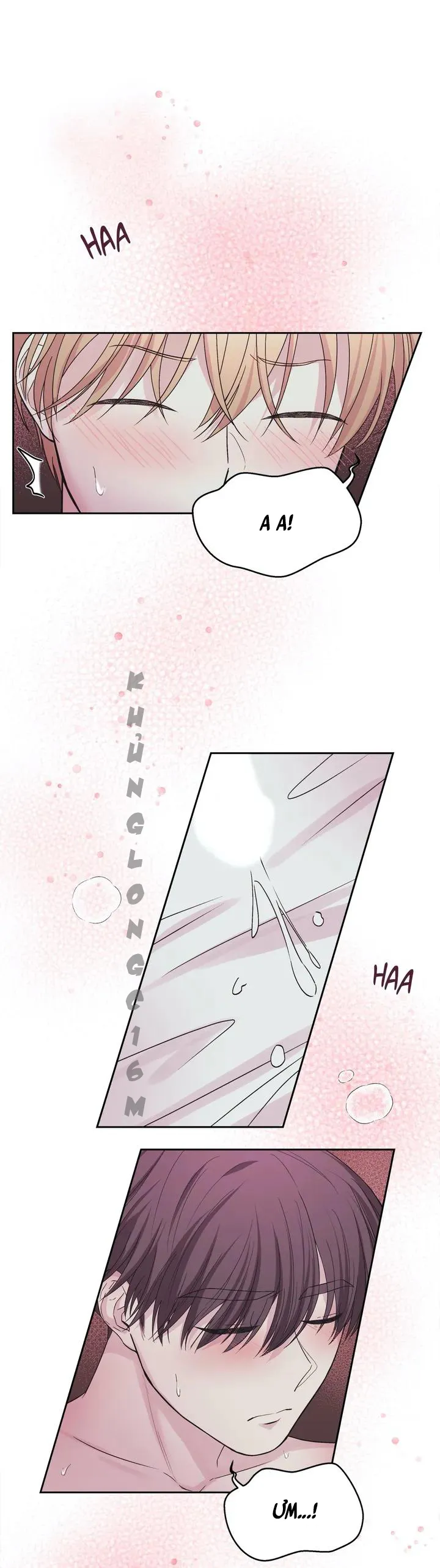 10 Đêm Mê Hoặc Chapter 1 Trang 40