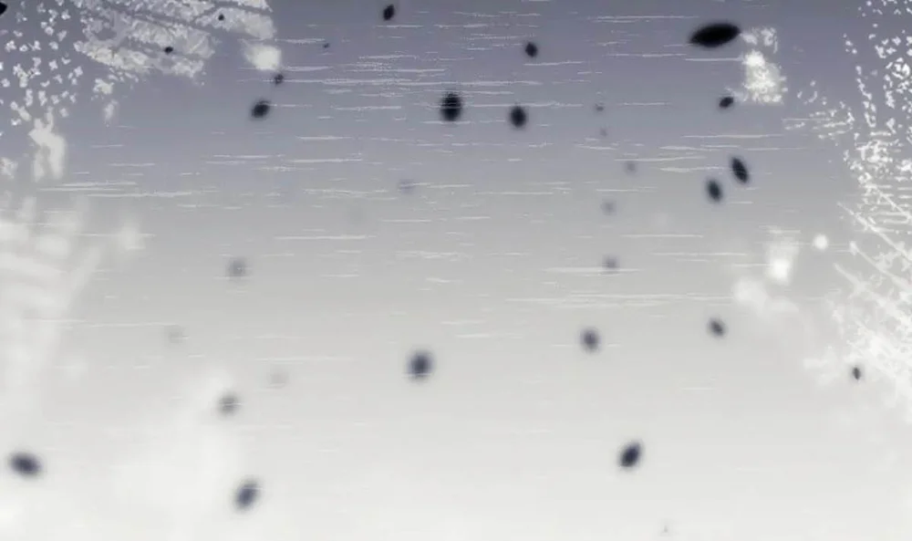 16647 : Game Và Thực Tại Chapter 4 Trang 40