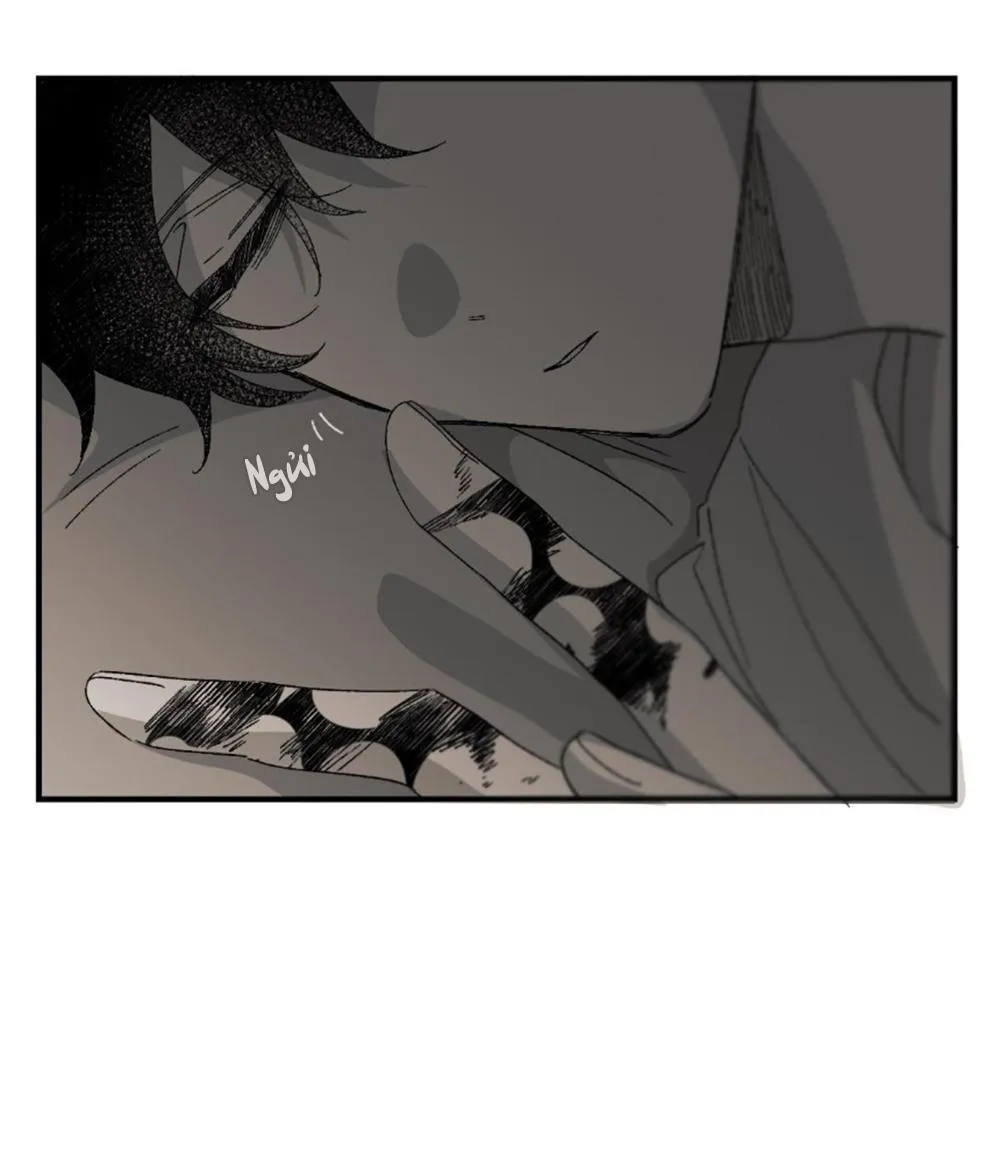 16647 Chapter 13 Trang 6