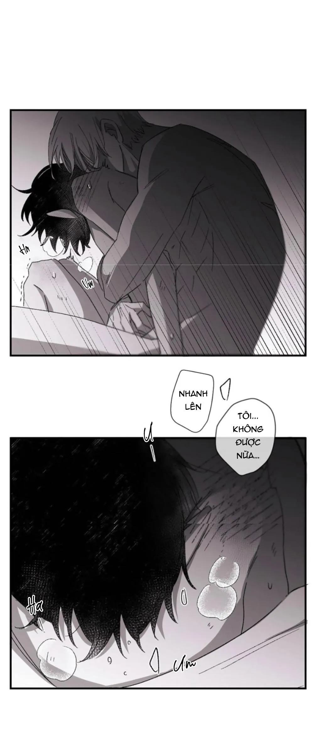 16647 Chapter 14 Trang 15