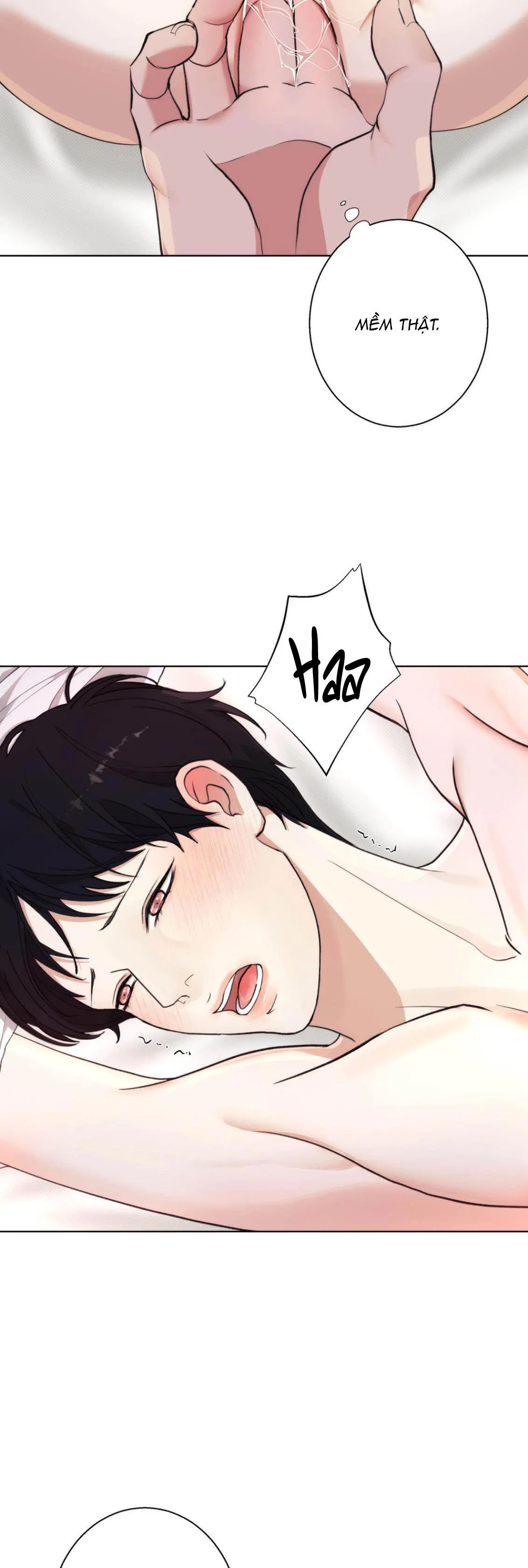 2020 Chapter 7 Trang 31