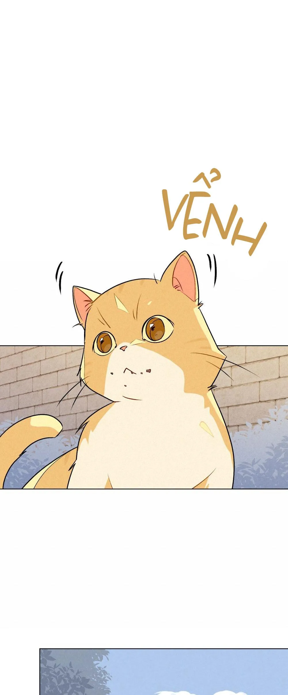 30 PHÚT TRƯỚC KHI TỎ TÌNH Chapter 20 Trang 35