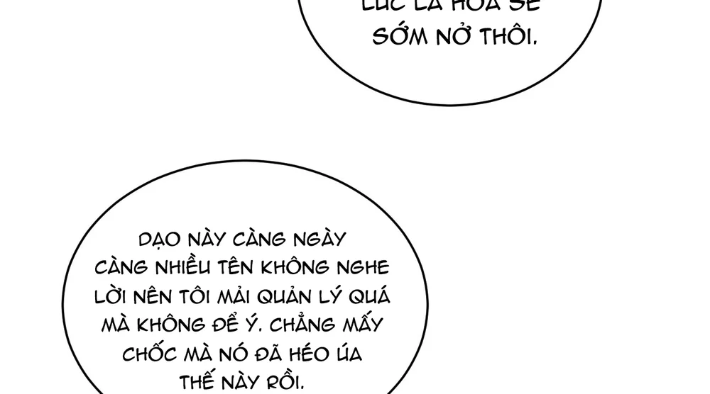 (ABO) When Life Gives You Tomatoes Chapter 1 Trang 8