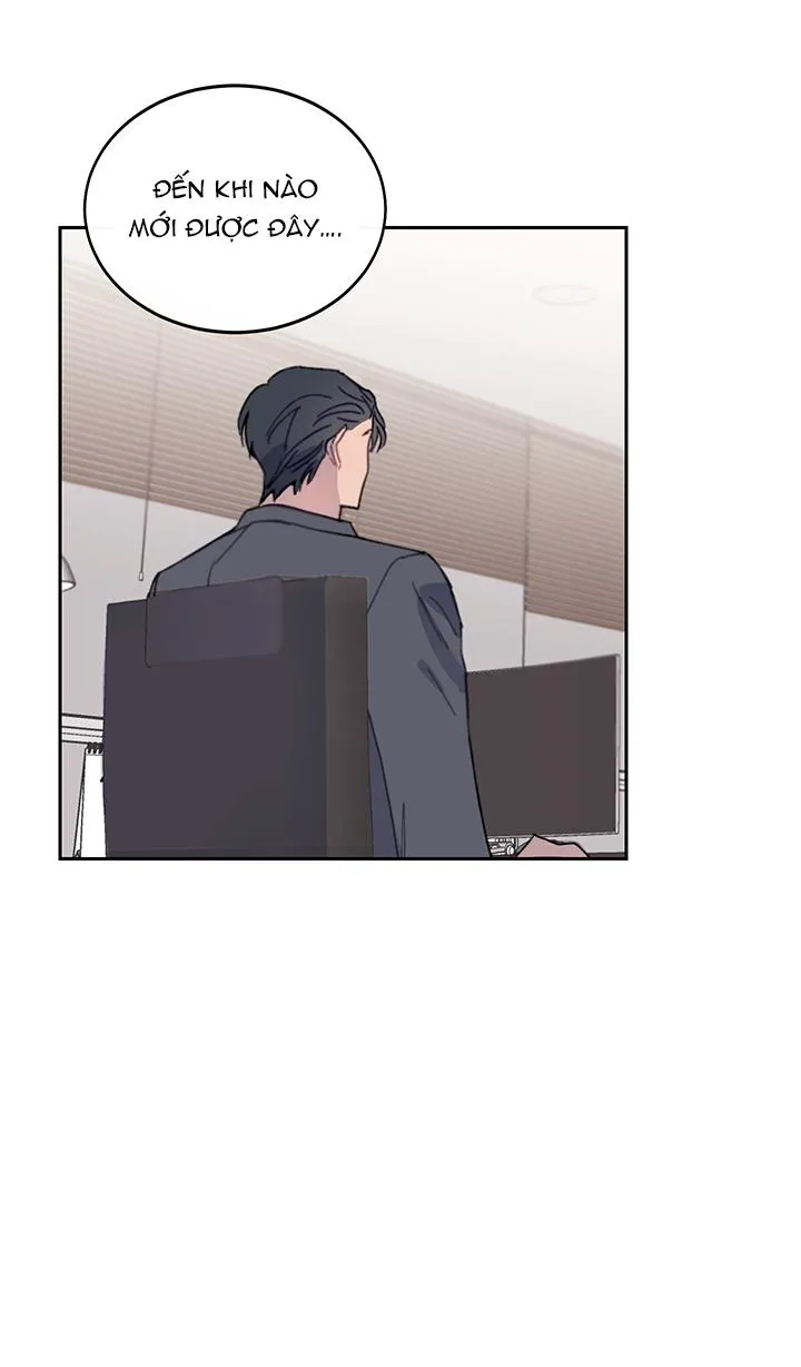 Why Not, CEO? Chapter 10 Trang 16