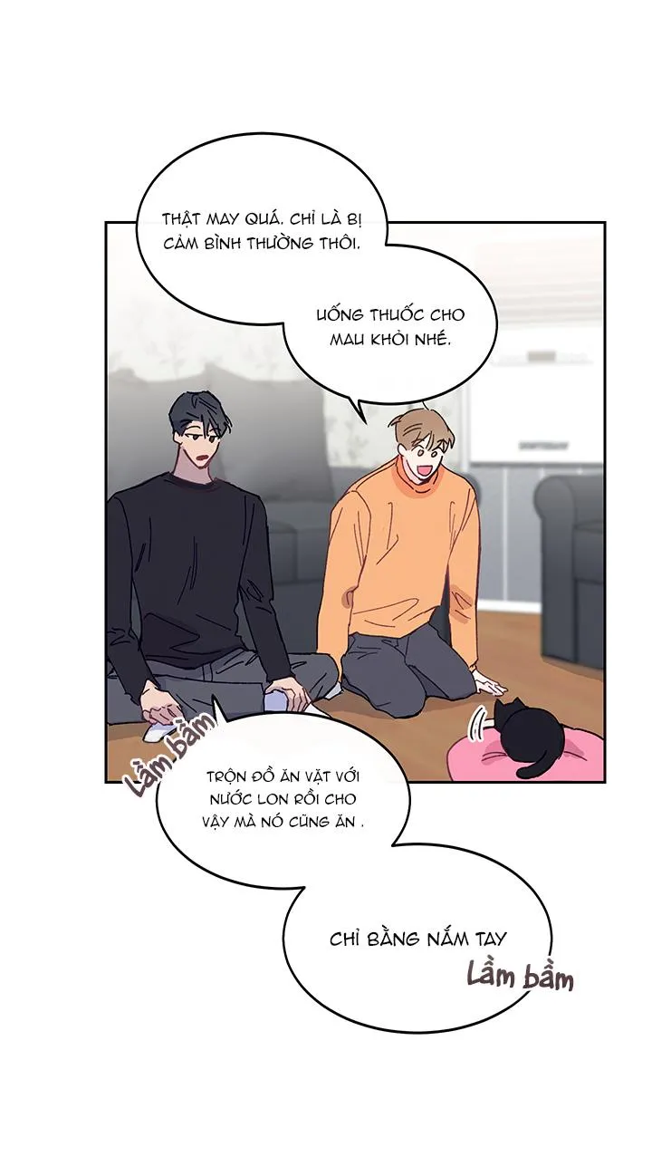 Why Not, CEO? Chapter 10 Trang 29
