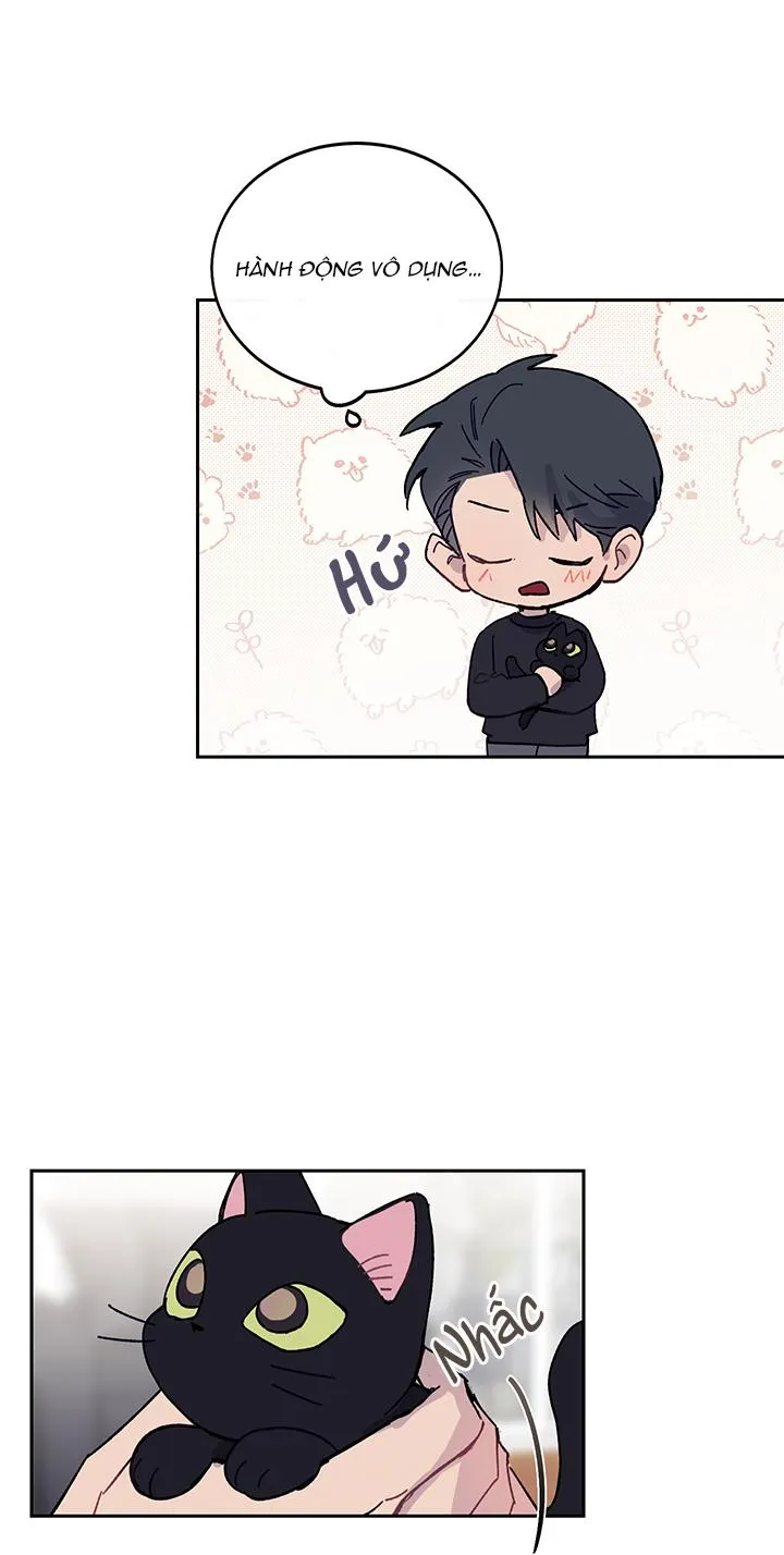 Why Not, CEO? Chapter 10 Trang 40