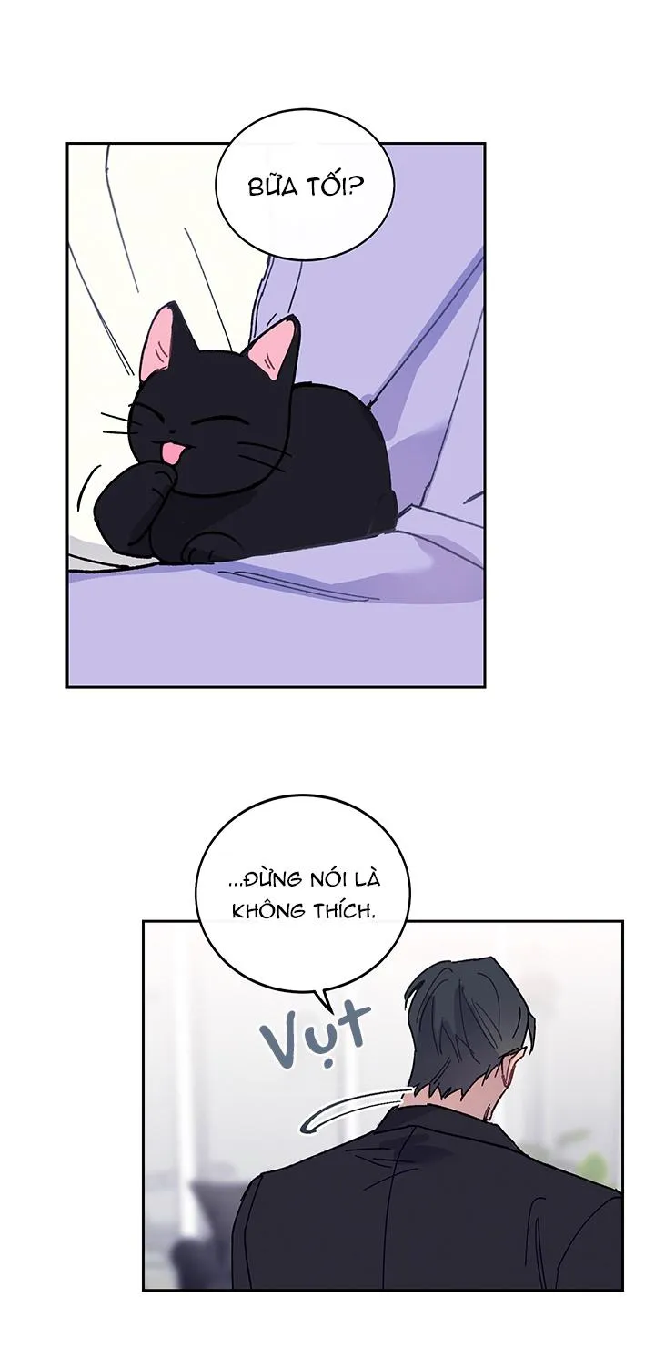 Why Not, CEO? Chapter 11 Trang 23