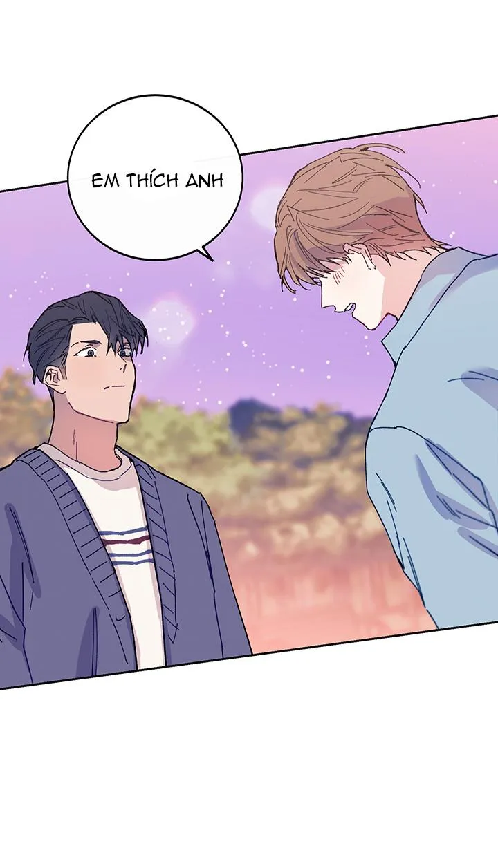 Why Not, CEO? Chapter 12 Trang 41