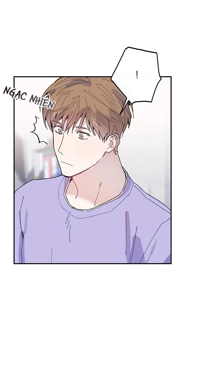 Why Not, CEO? Chapter 13 Trang 43