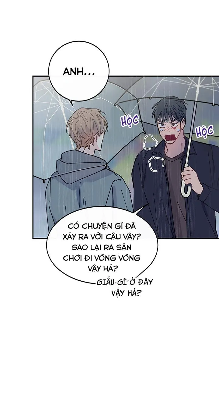 Why Not, CEO? Chapter 15 Trang 27