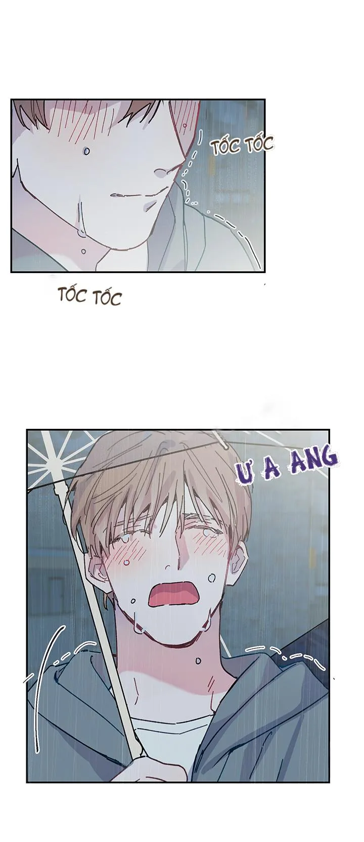 Why Not, CEO? Chapter 15 Trang 37