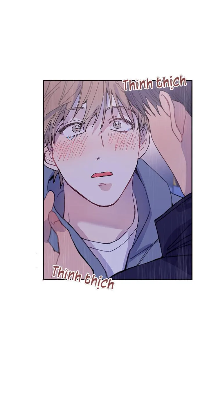 Why Not, CEO? Chapter 16 Trang 4