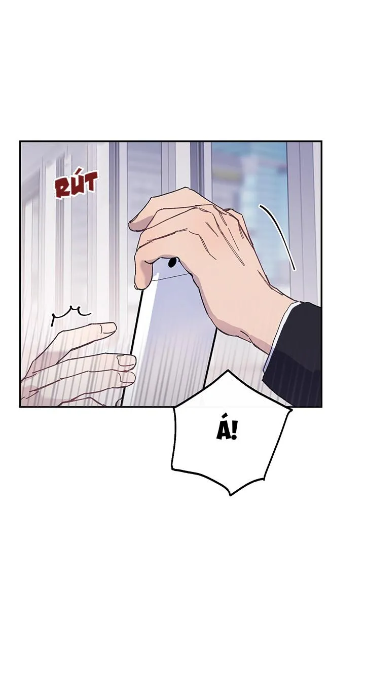 Why Not, CEO? Chapter 17 Trang 18