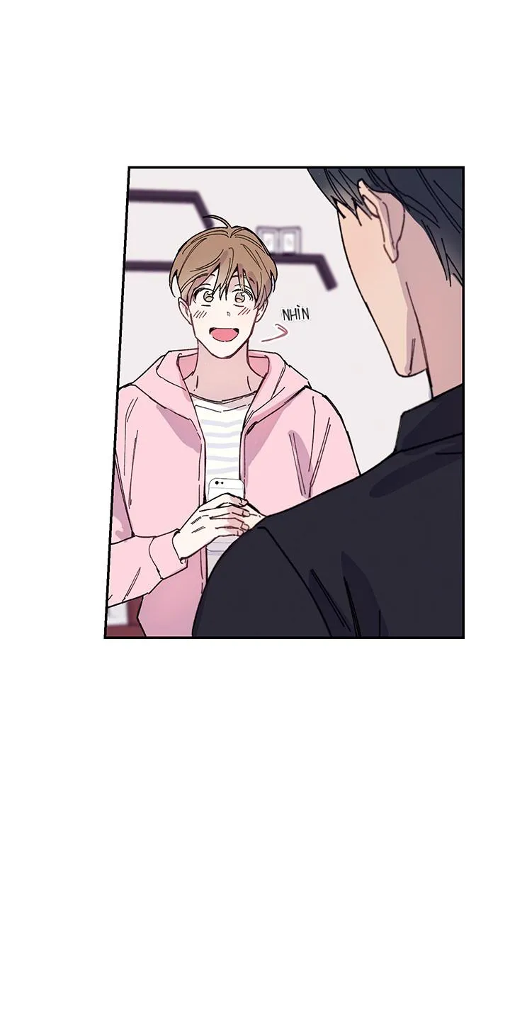 Why Not, CEO? Chapter 17 Trang 28