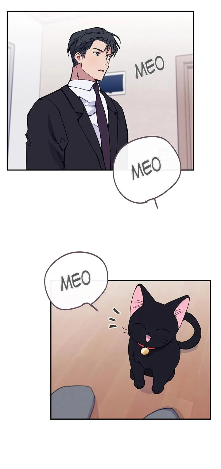 Why Not, CEO? Chapter 18 Trang 10