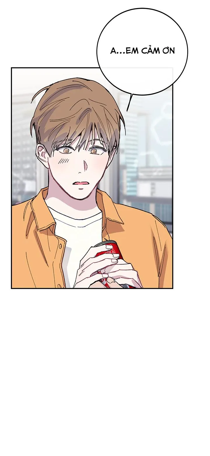 Why Not, CEO? Chapter 19 Trang 21