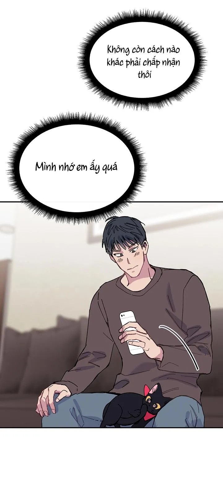 Why Not, CEO? Chapter 19 Trang 35