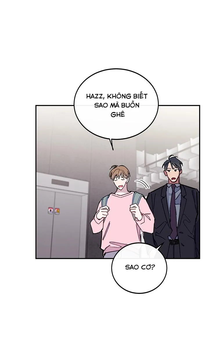 Why Not, CEO? Chapter 20 Trang 11
