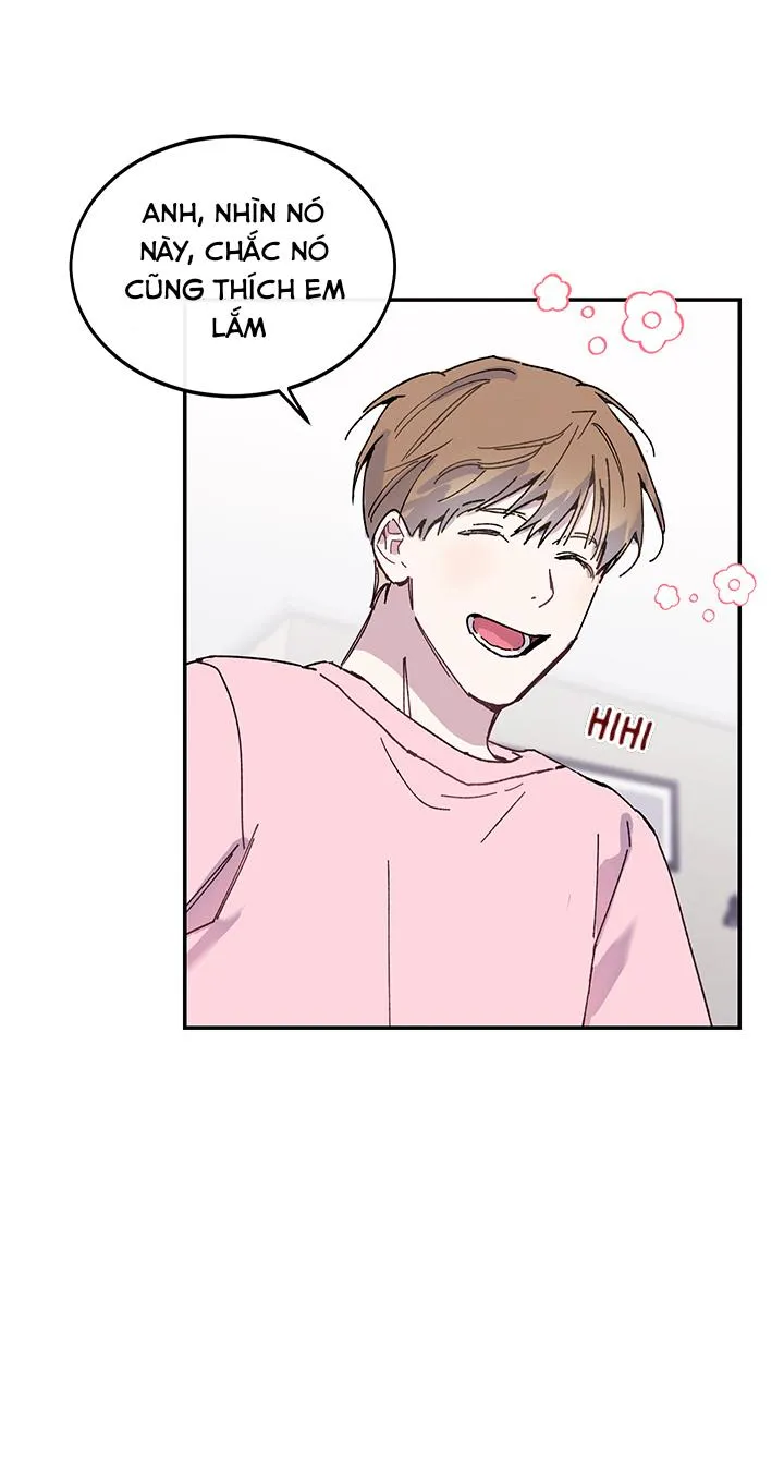 Why Not, CEO? Chapter 20 Trang 33