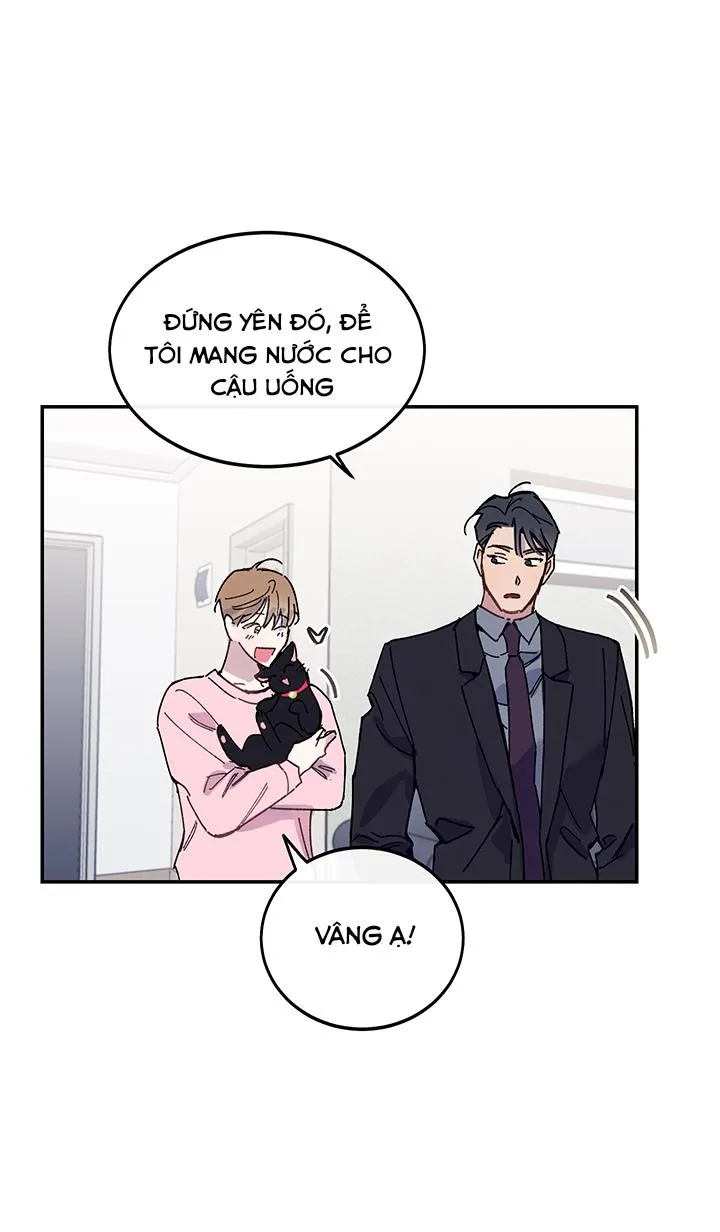 Why Not, CEO? Chapter 20 Trang 34