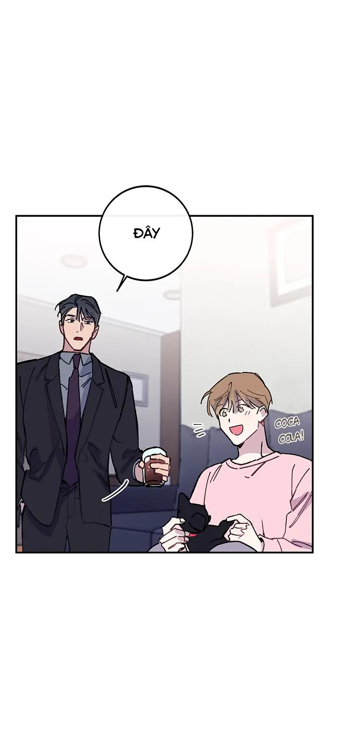 Why Not, CEO? Chapter 20 Trang 36