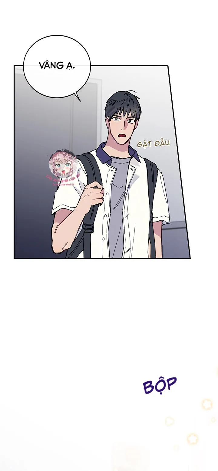 Why Not, CEO? Chapter 21 Trang 10