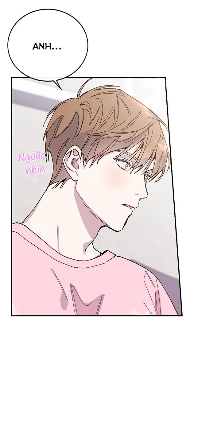 Why Not, CEO? Chapter 22 Trang 5