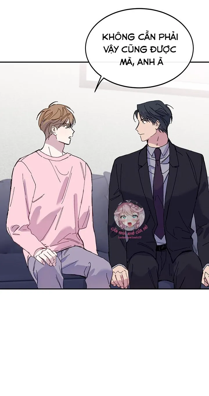 Why Not, CEO? Chapter 22 Trang 10