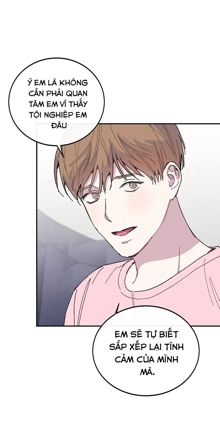 Why Not, CEO? Chapter 22 Trang 12