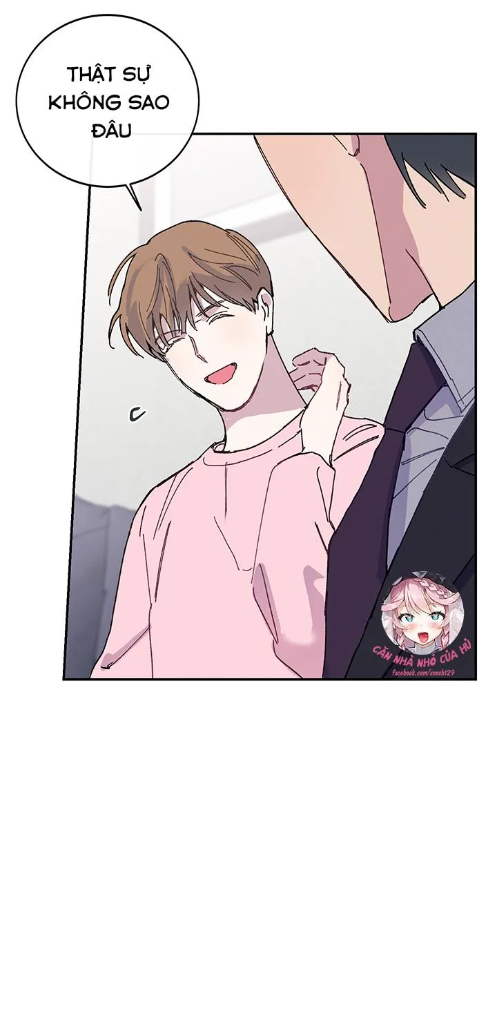 Why Not, CEO? Chapter 22 Trang 14