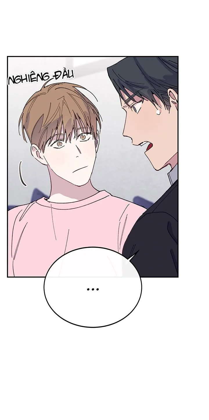 Why Not, CEO? Chapter 22 Trang 16